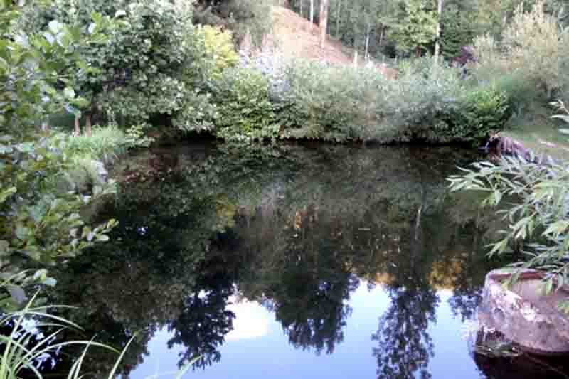 Plan d'eau